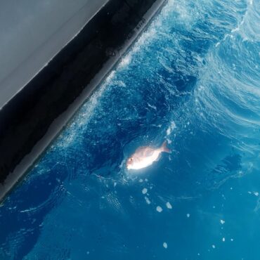 banyuls peche en mer edgar fishing 16