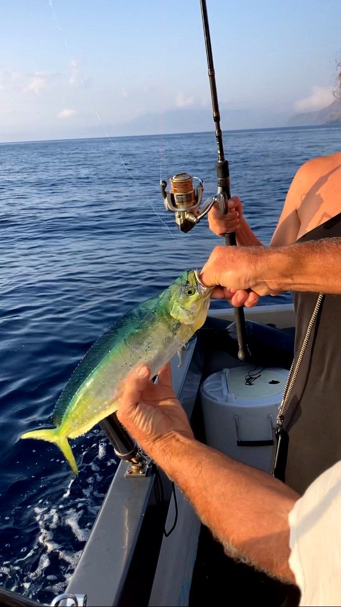 peche semi cotiere dans le 66 au large de banyuls peche semi cotiere dans le 66 au large de banyuls