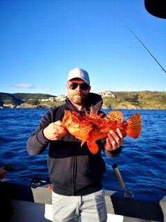 peche semi cotiere dans le 66 au large de banyuls 3