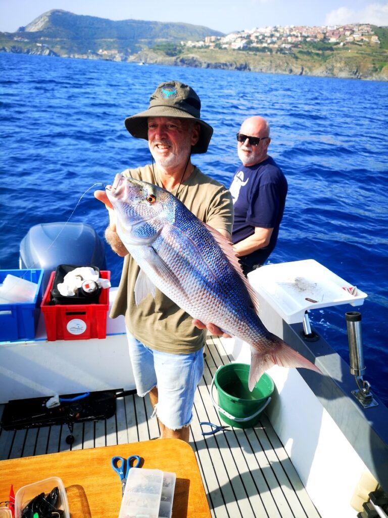 peche semi cotiere dans le 66 au large de banyuls 4 peche semi cotiere dans le 66 au large de banyuls 4