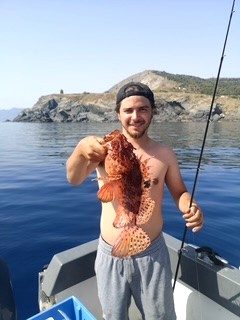 peche semi cotiere dans le 66 au large de banyuls 5