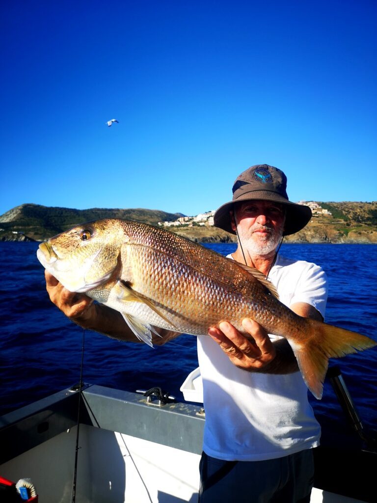 peche semi cotiere dans le 66 au large de banyuls 6 peche semi cotiere dans le 66 au large de banyuls 6