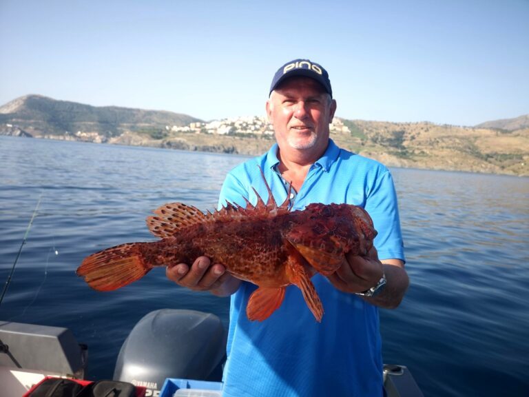 peche semi cotiere dans le 66 au large de banyuls 8 peche semi cotiere dans le 66 au large de banyuls 8